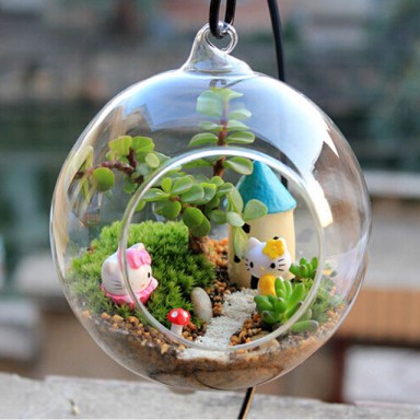 transparent-boule-globe-forme-effacer-suspendus-vase-en-verre-fleur-plantes-terrarium-container-micro-paysage-diy_640x640